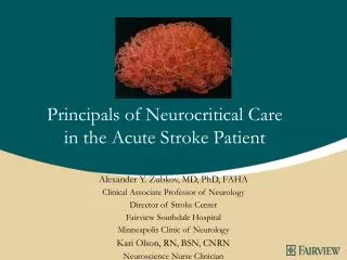 Principals of Neurocritical Care in the Acute Stroke Patient