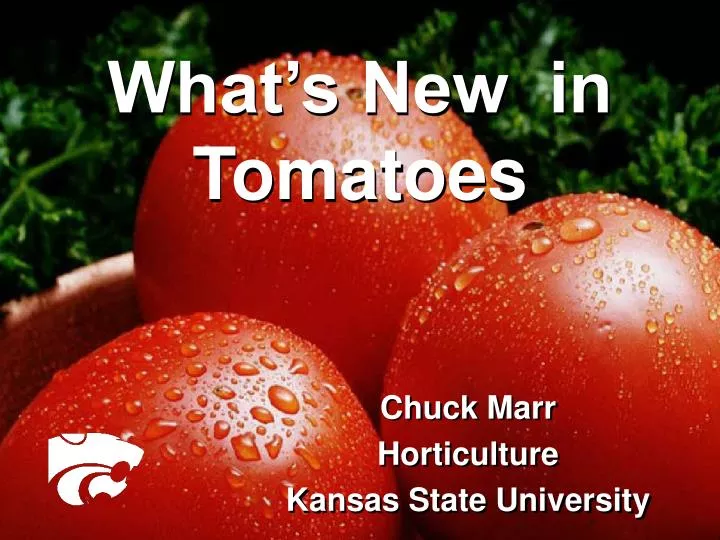 what s new in tomatoes