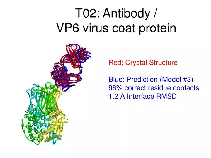 t02 antibody vp6 virus coat protein