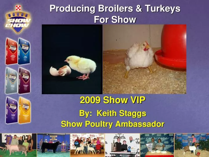 producing broilers turkeys for show