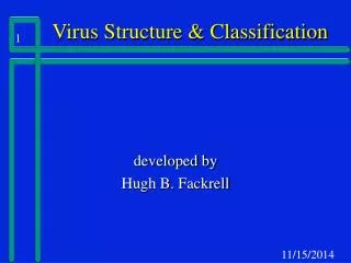 Virus Structure &amp; Classification