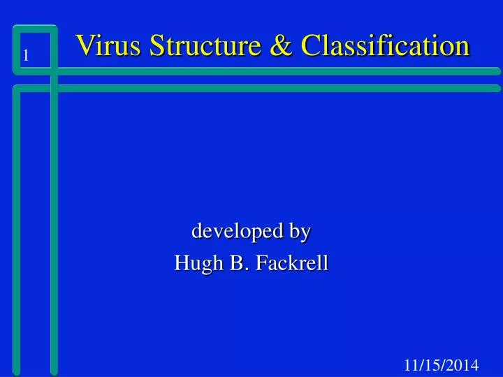 virus structure classification