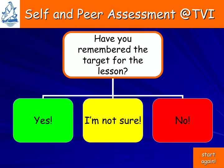 self and peer assessment @tvi