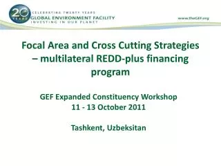 focal area and cross cutting strategies multilateral redd plus financing program