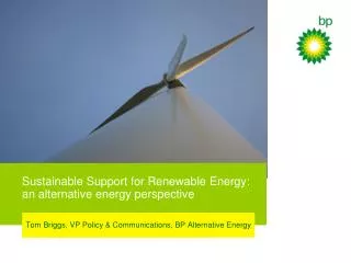 Sustainable Support for Renewable Energy: an alternative energy perspective