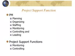 Project Support Function