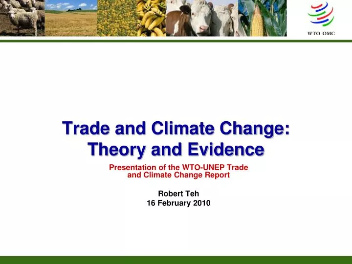 trade and climate change theory and evidence