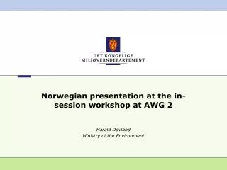 Norwegian presentation at the in-session workshop at AWG 2