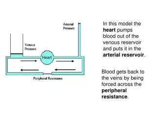 Blood gets back to the veins by being forced across the peripheral resistance .