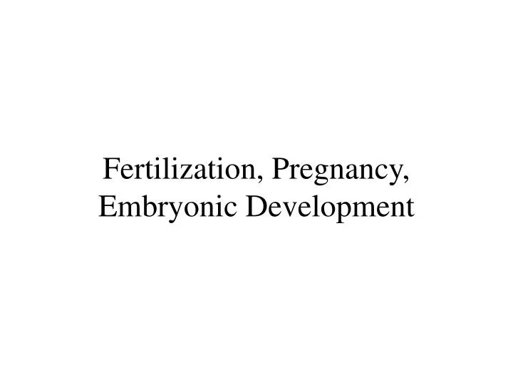 fertilization pregnancy embryonic development