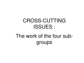 CROSS-CUTTING ISSUES : The work of the four sub-groups