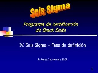 programa de certificaci n de black belts