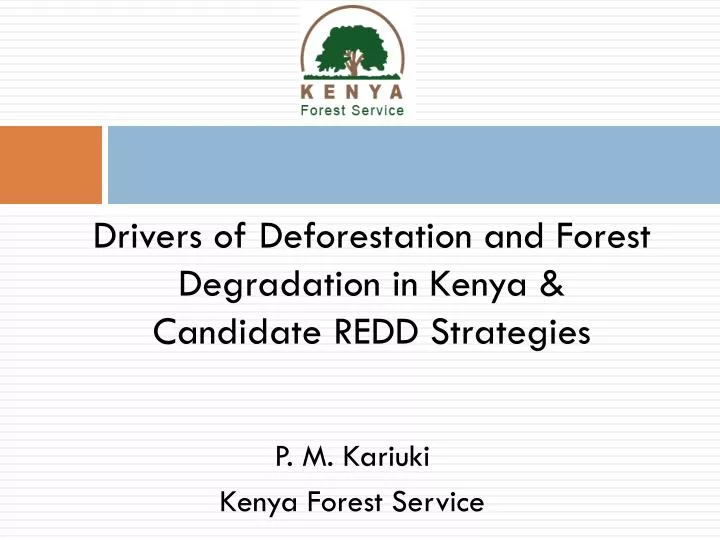 drivers of deforestation and forest degradation in kenya candidate redd strategies