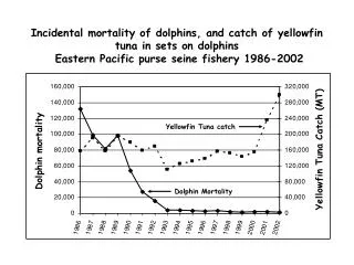 Dolphin Mortality