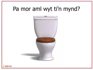 pa mor aml wyt ti n mynd