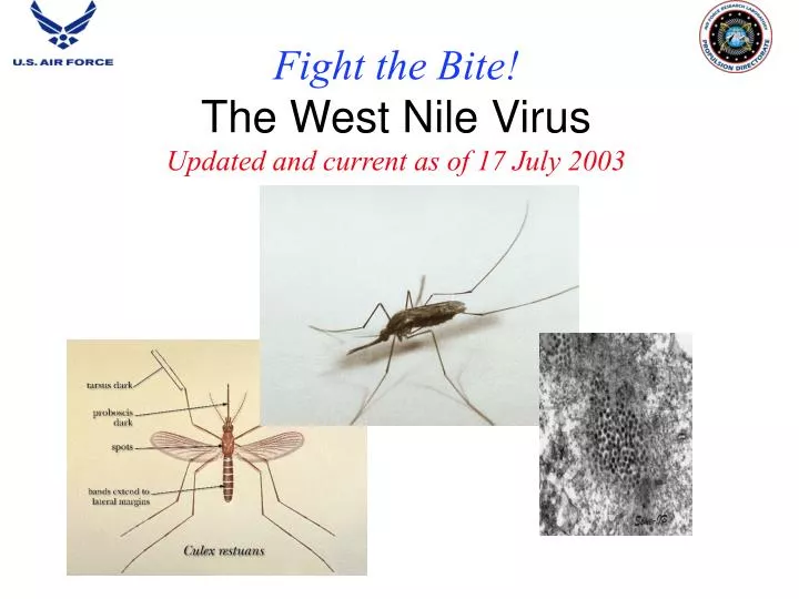 fight the bite the west nile virus updated and current as of 17 july 2003