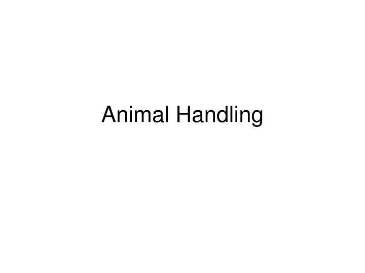 animal handling