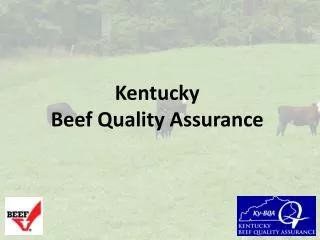 Kentucky Beef Quality Assurance