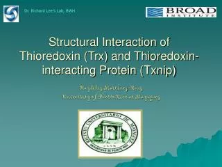 Structural Interaction of Thioredoxin (Trx) and Thioredoxin-interacting Protein (Txnip)