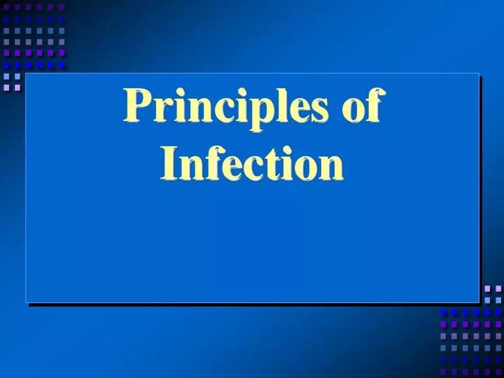 principles of infection