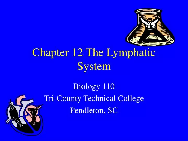 chapter 12 the lymphatic system