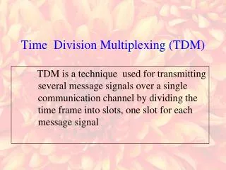 Time Division Multiplexing (TDM)