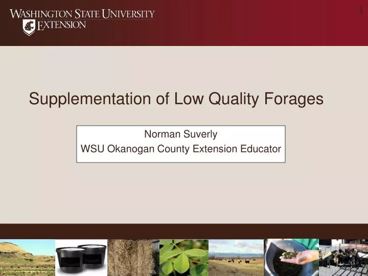 norman suverly wsu okanogan county extension educator