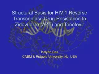 Structural Basis for HIV-1 Reverse Transcriptase Drug Resistance to Zidovudine (AZT) and Tenofovir