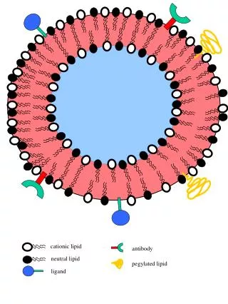 cationic lipid