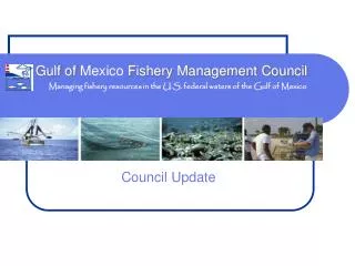 Managing fishery resources in the U.S. federal waters of the Gulf of Mexico