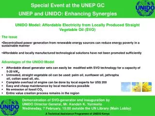 Special Event at the UNEP GC UNEP and UNIDO: Enhancing Synergies