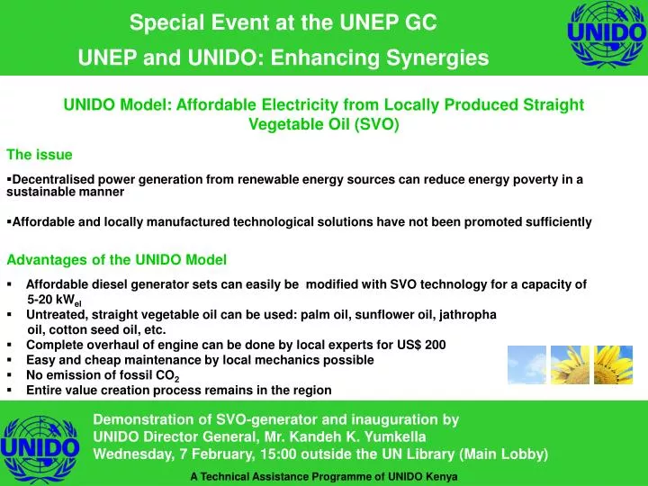 special event at the unep gc unep and unido enhancing synergies