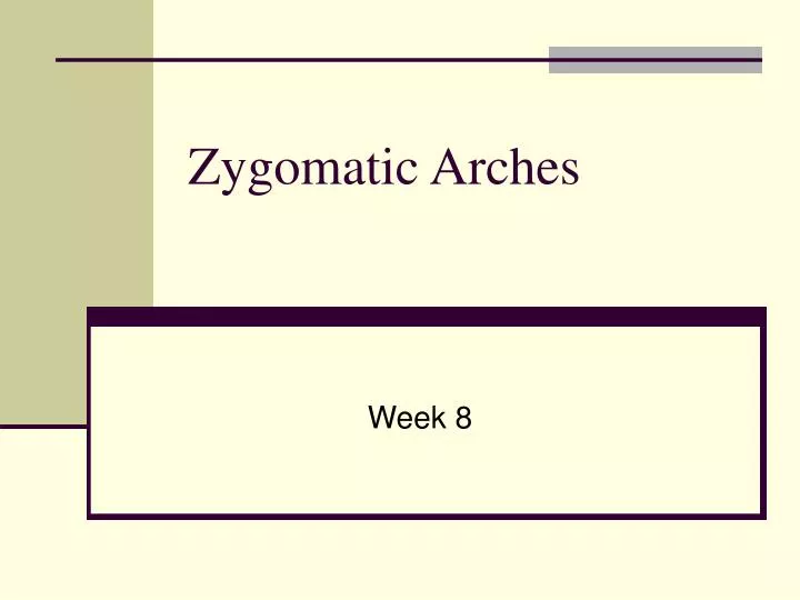 zygomatic arches