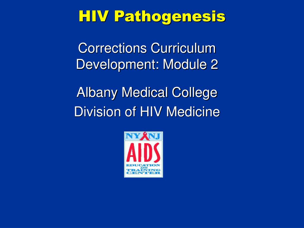 PPT - HIV Pathogenesis PowerPoint Presentation, free download - ID:6649690