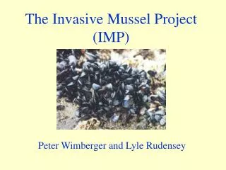 The Invasive Mussel Project (IMP)
