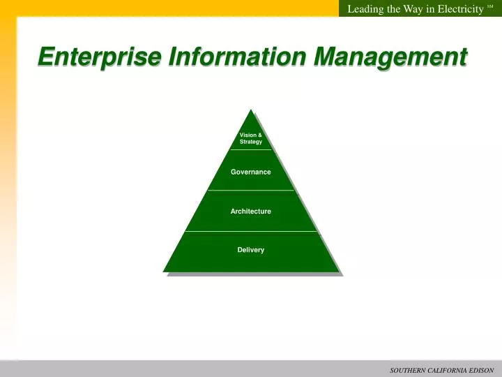 enterprise information management