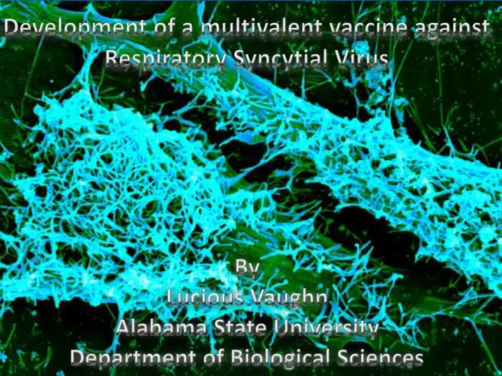 development of a multivalent vaccine against respiratory syncytial virus