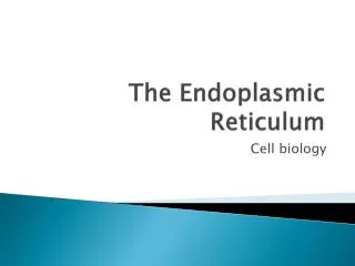 The Endoplasmic Reticulum