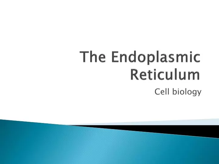 PPT - The Endoplasmic Reticulum PowerPoint Presentation, free download ...