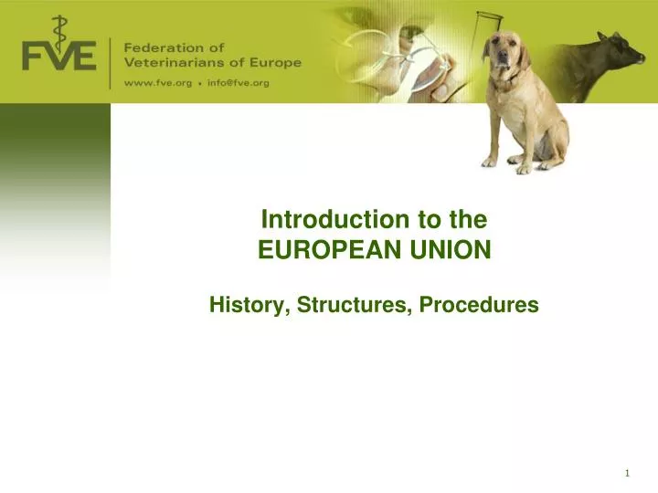 introduction to the european union history structures procedures