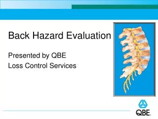 Back Hazard Evaluation