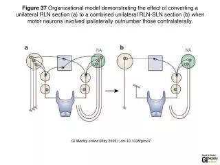 GI Motility online (May 2006) | doi:10.1038/gimo7