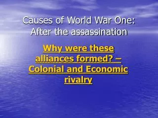 Causes of World War One: After the assassination