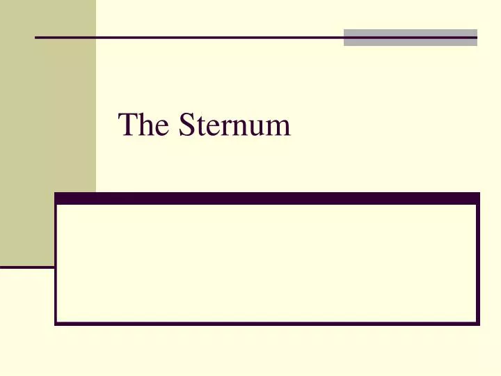 the sternum