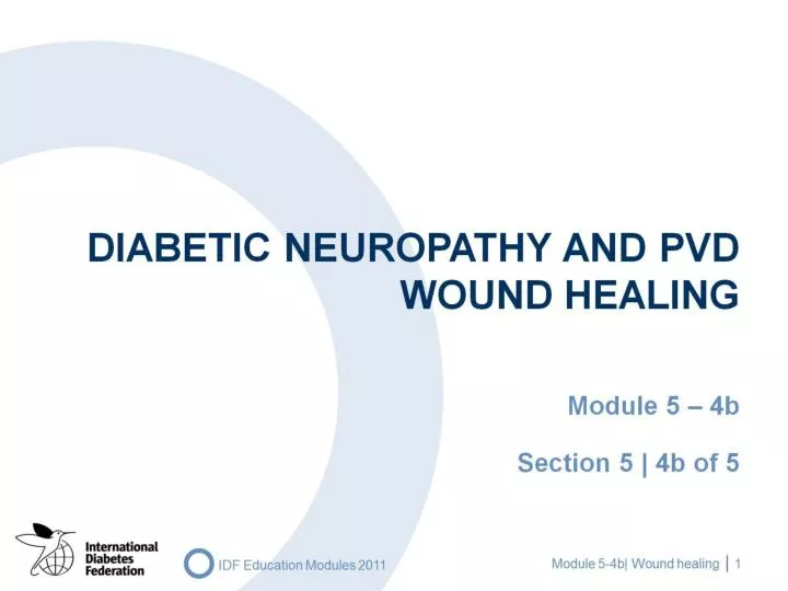 diabetic neuropathy and pvd wound healing