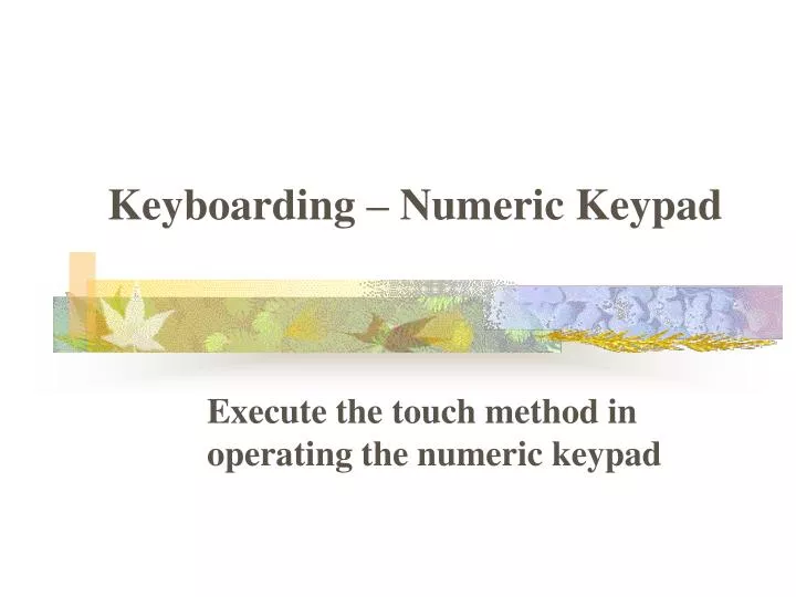 keyboarding numeric keypad