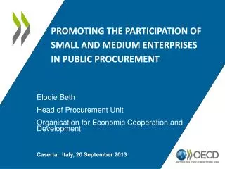 Promoting the participation of small and medium enterprises in public procurement