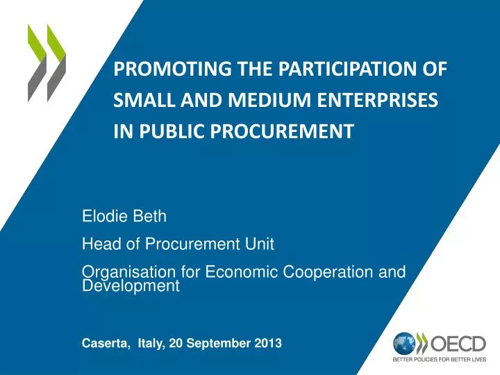 promoting the participation of small and medium enterprises in public procurement