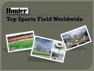 Top Sports Field Worldwide