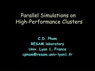 Parallel Simulations on High-Performance Clusters